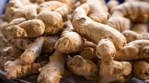Ginger