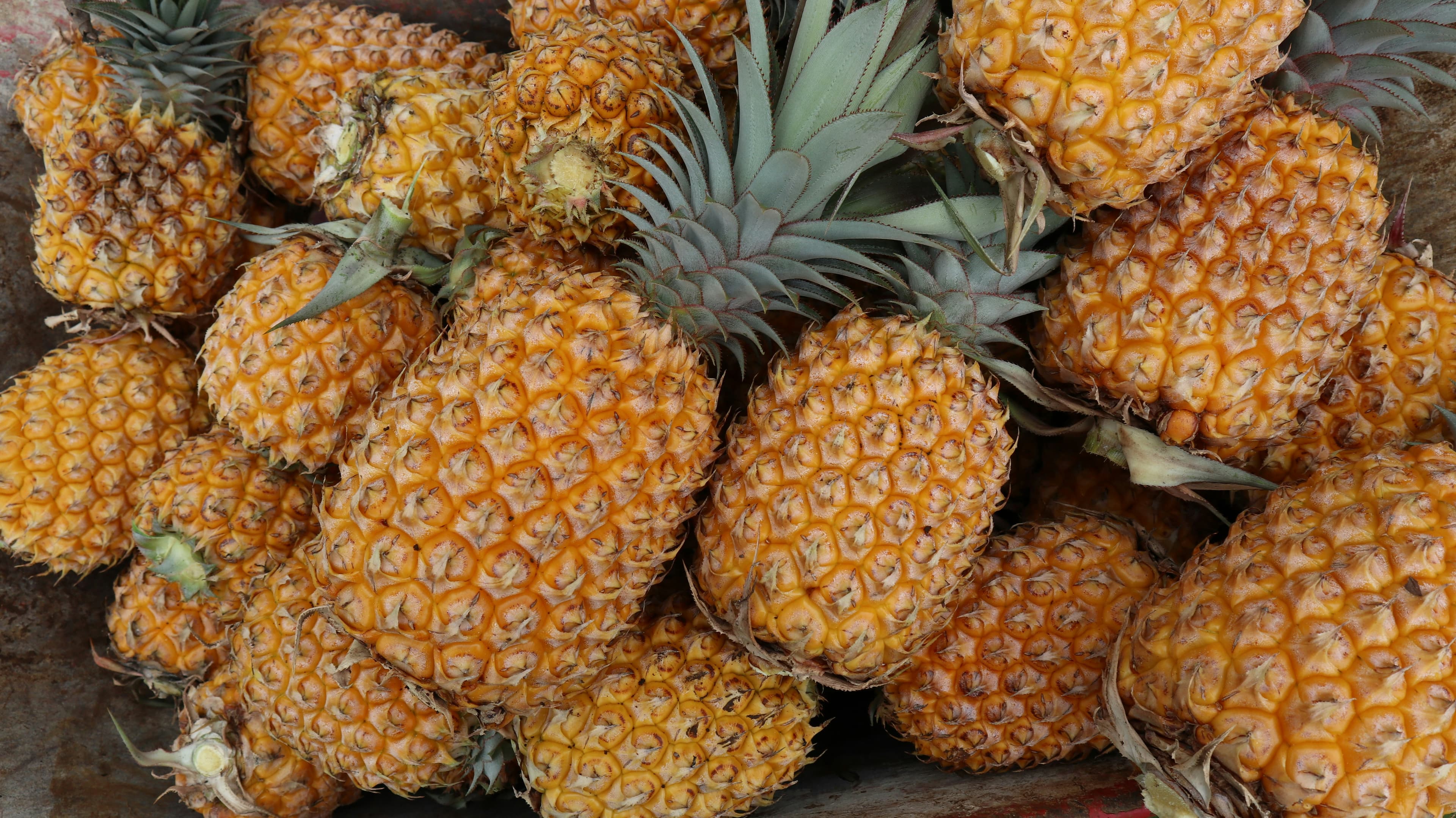 Pineapple