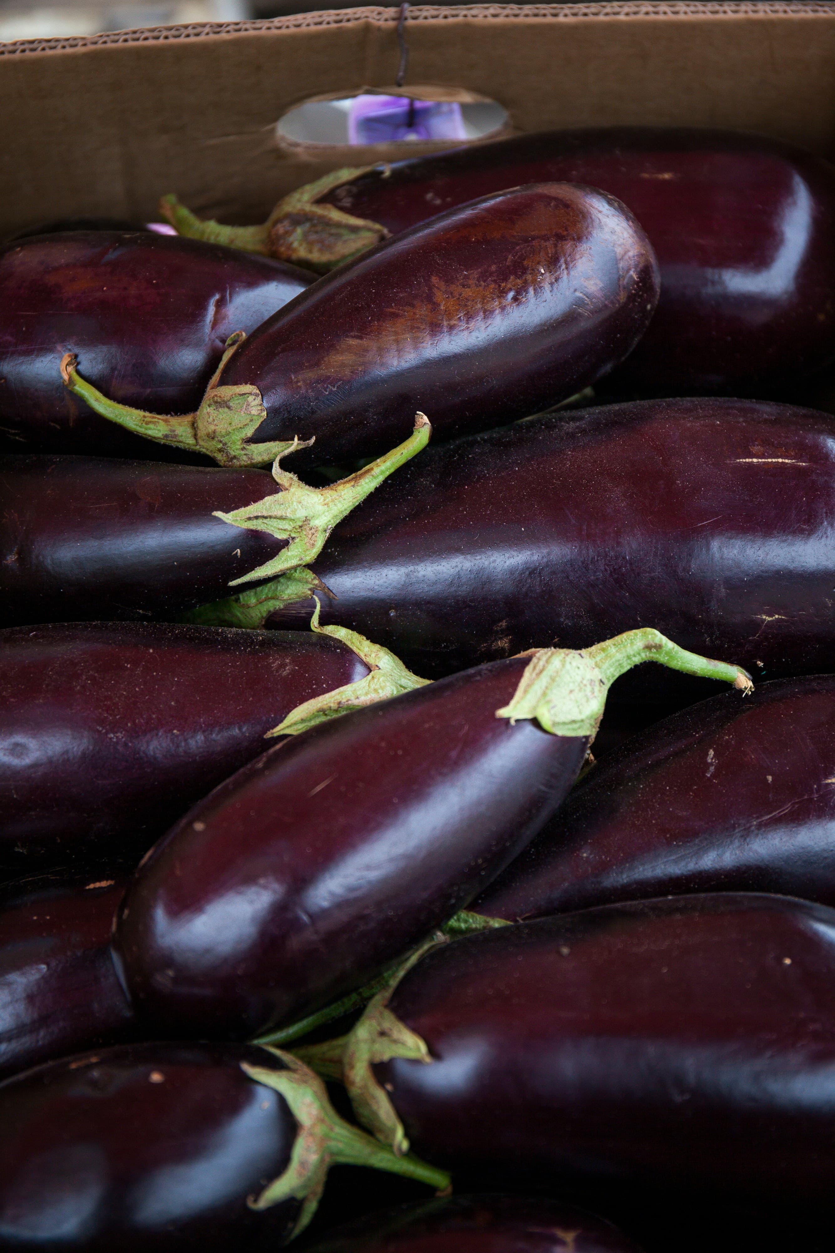 Eggplant
