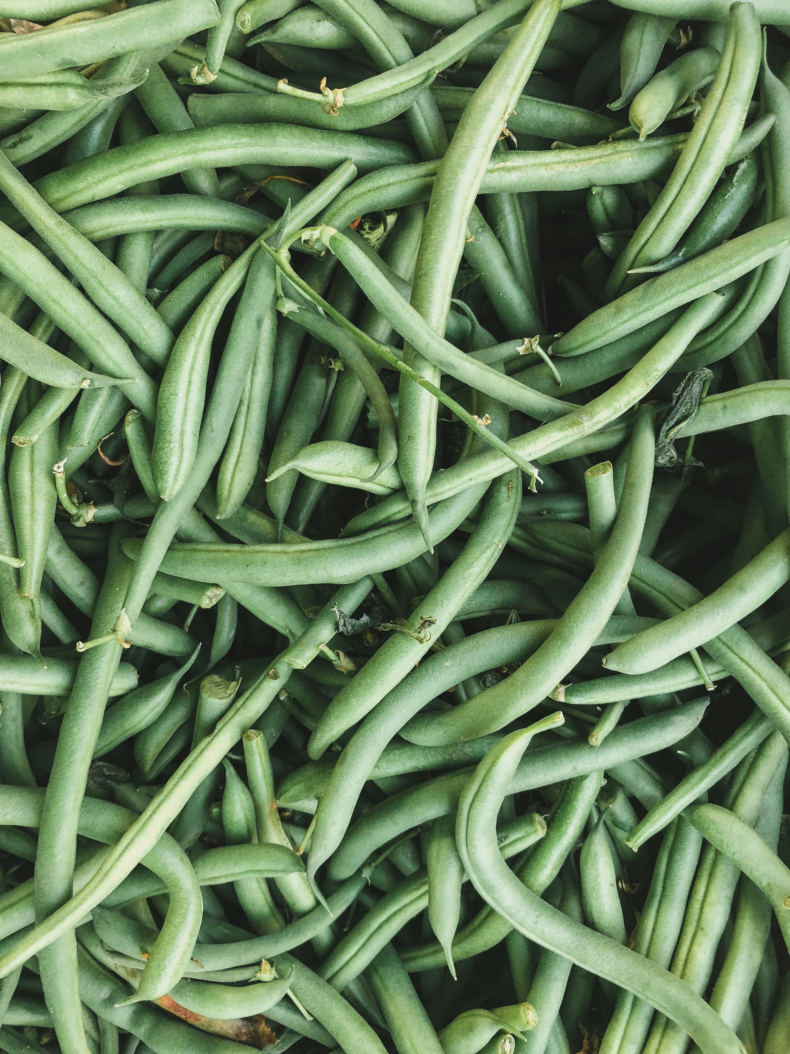 String Beans