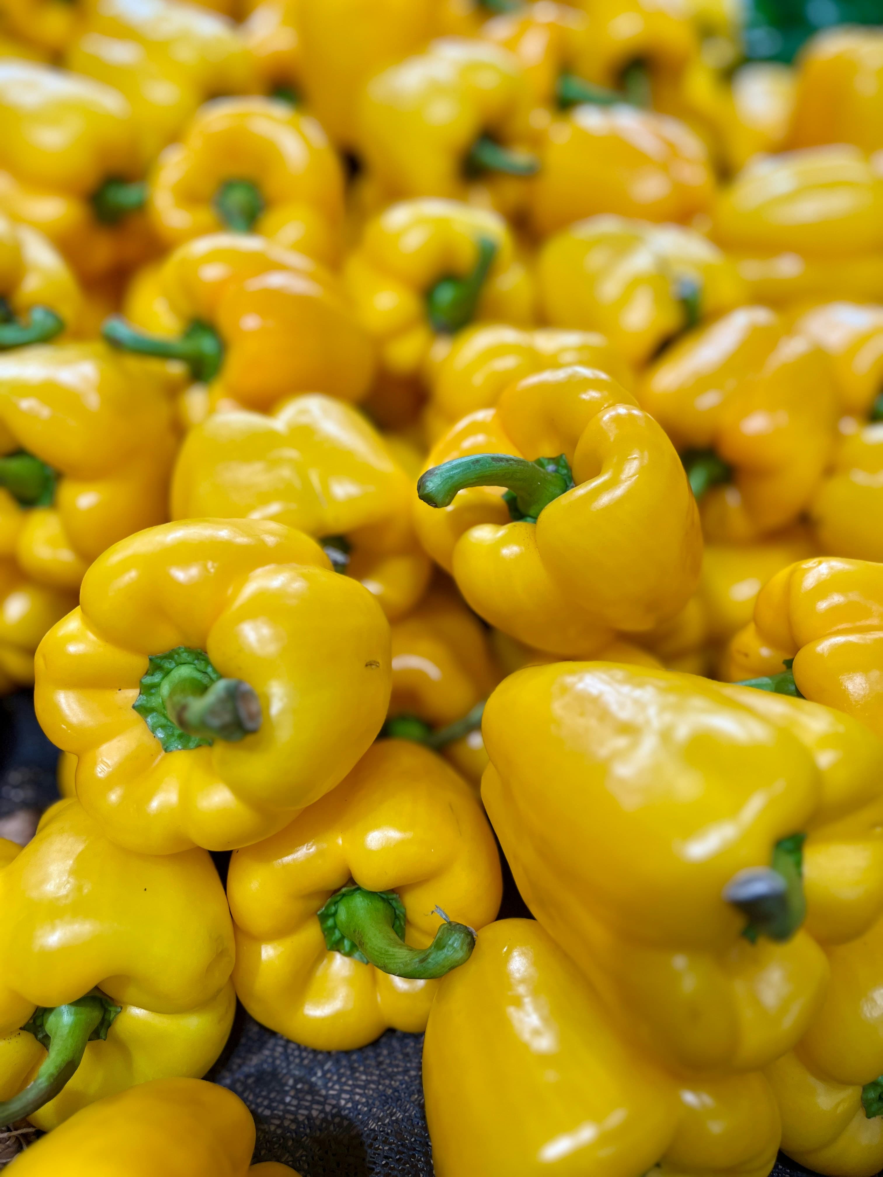 Yellow Bell Pepper