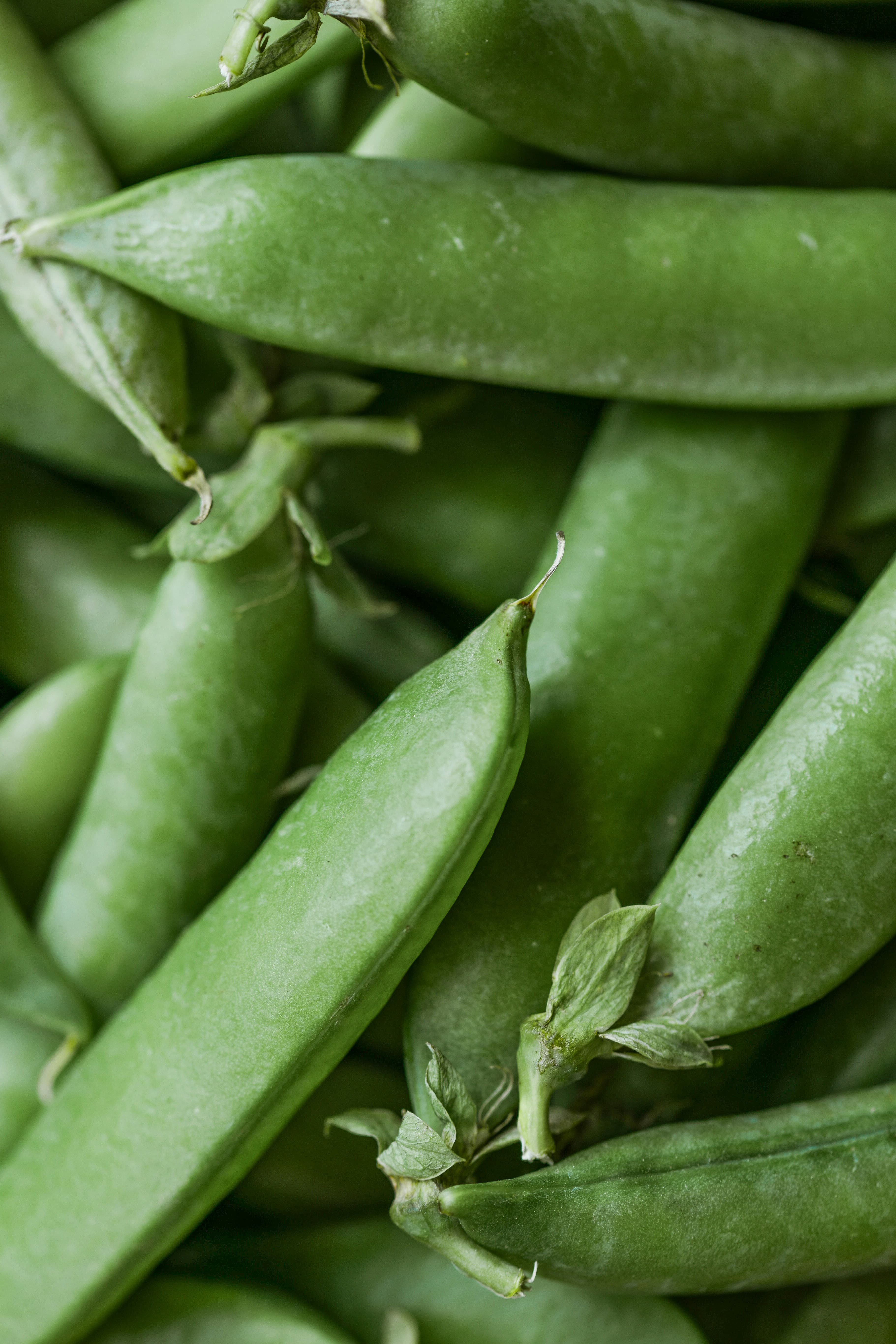 Snow Peas