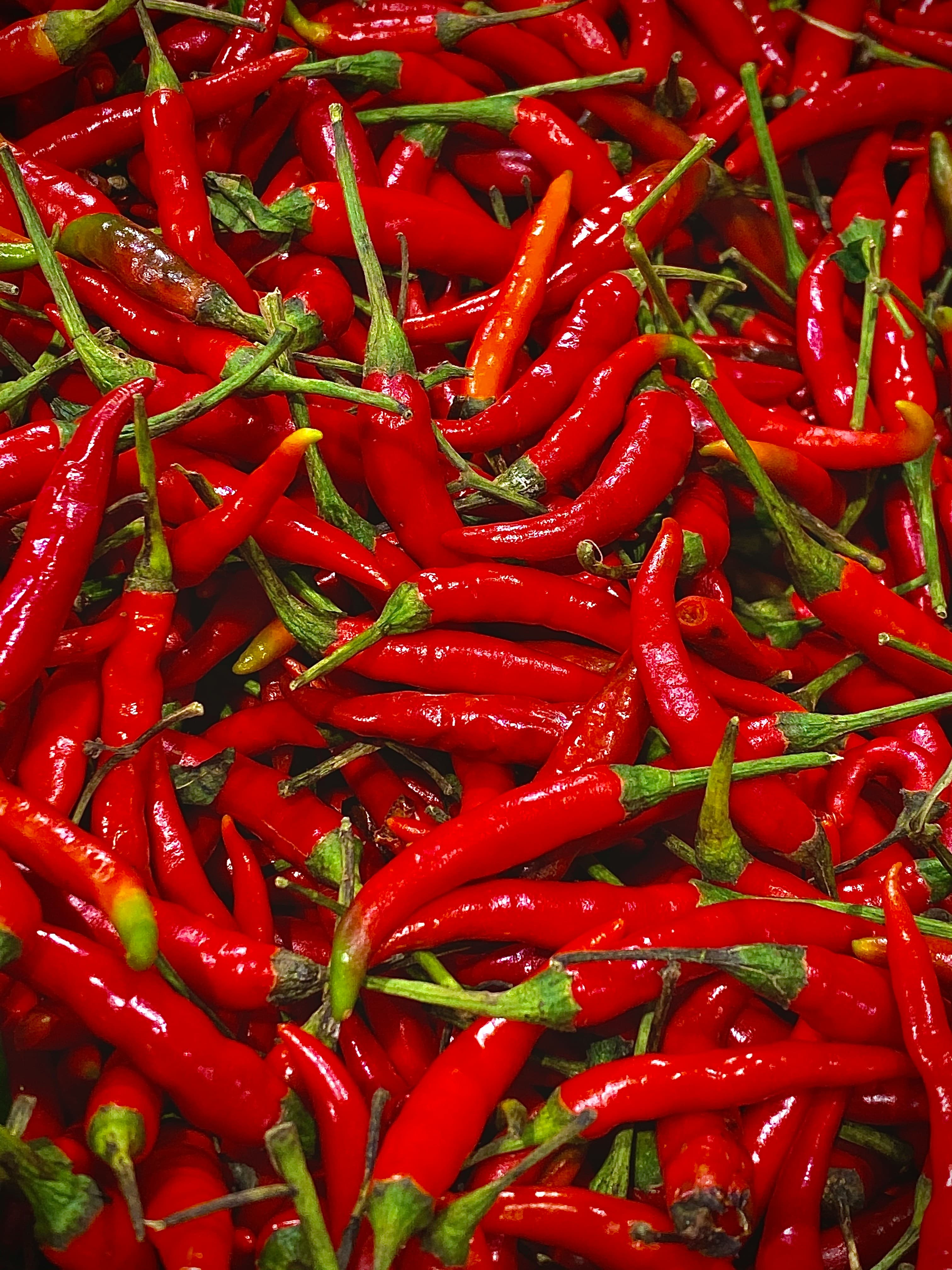 Hot Pepper
