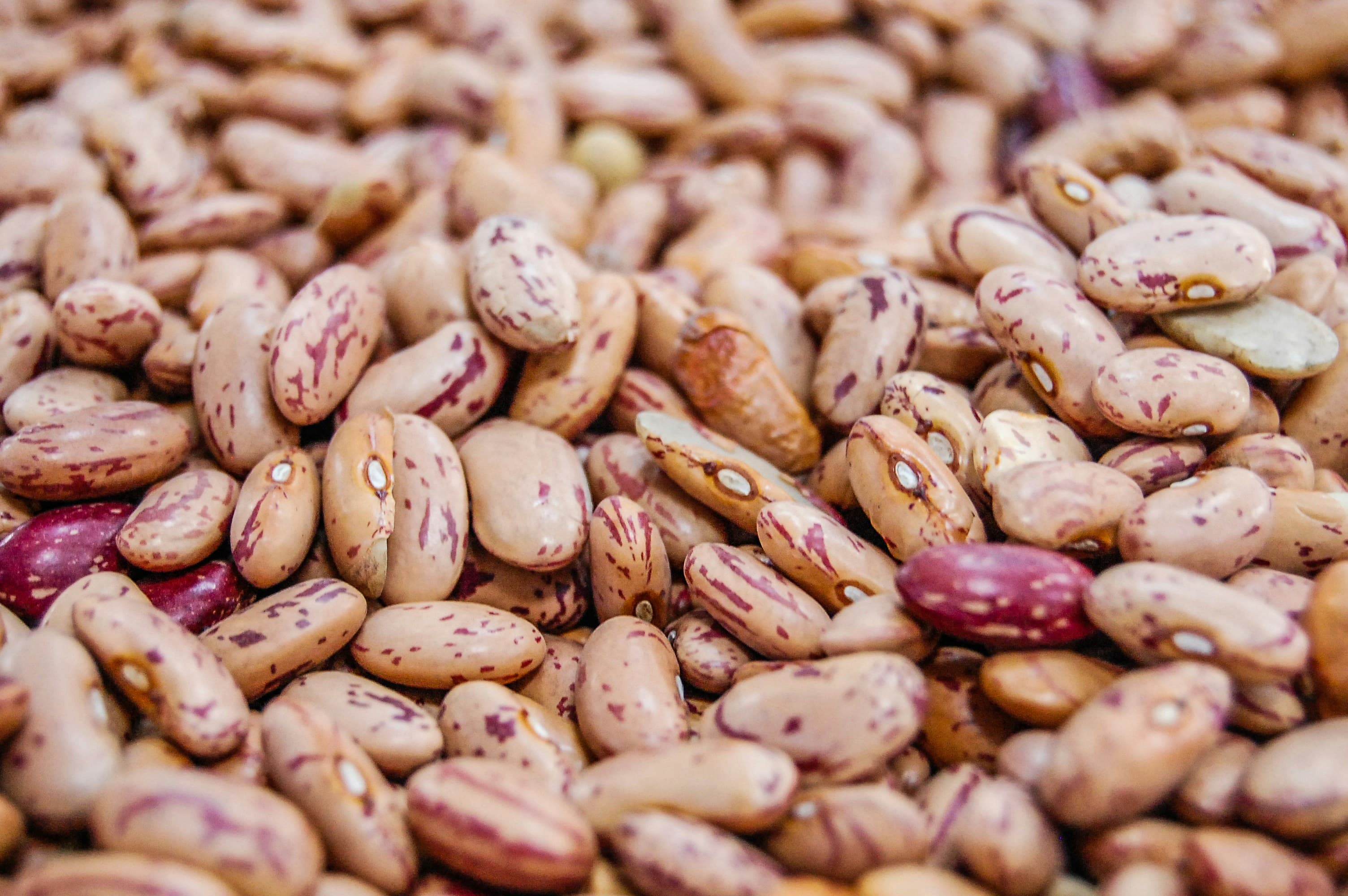 Shelled Beans