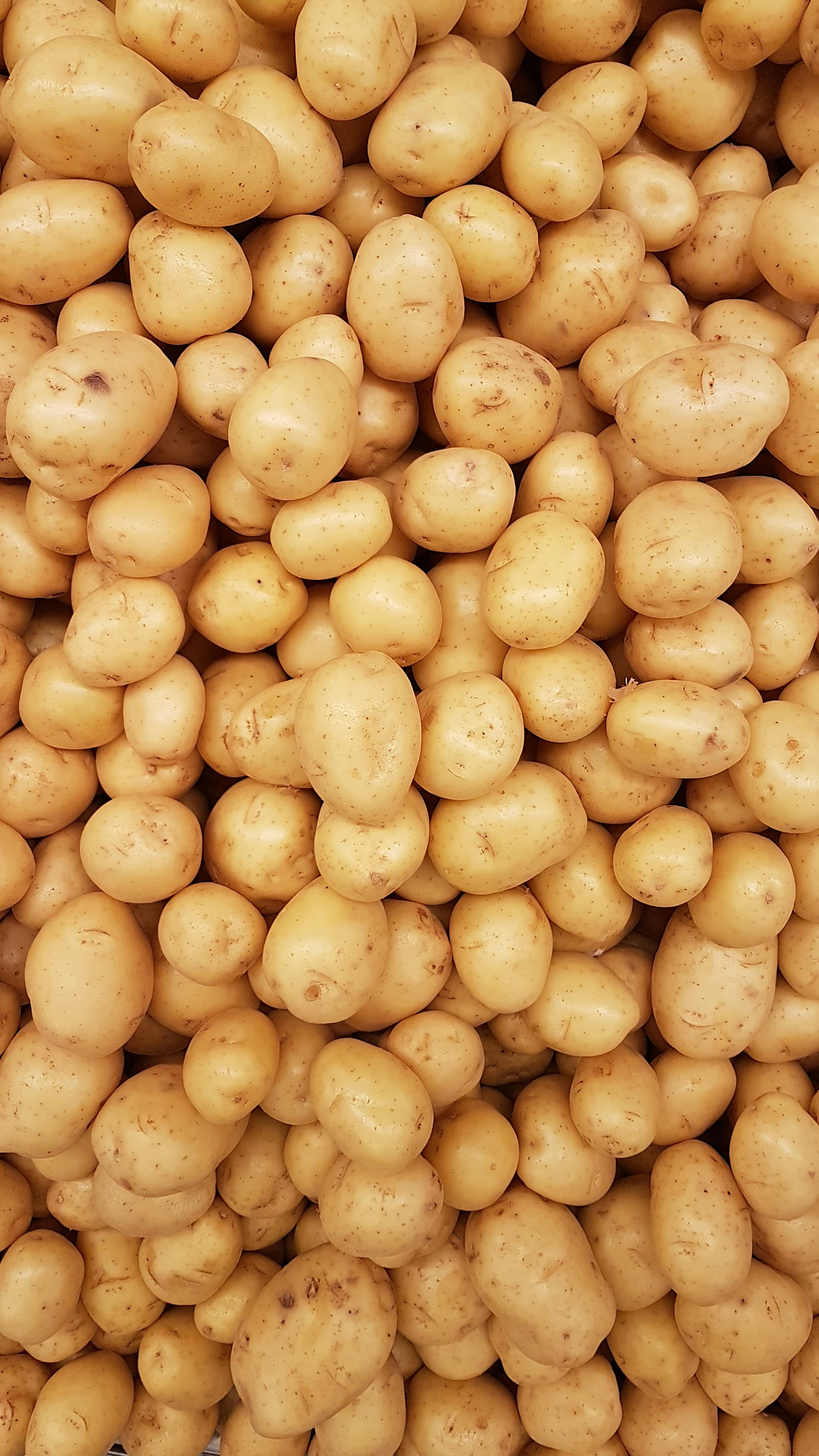 Capira Potato