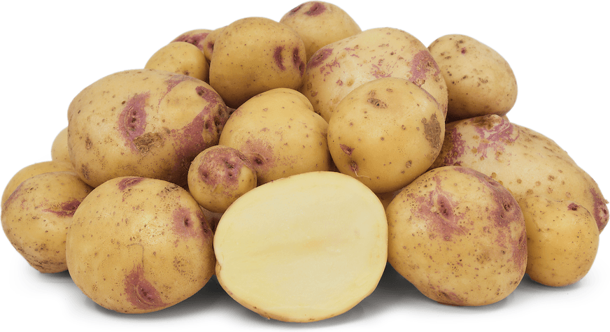 Nevada Potato