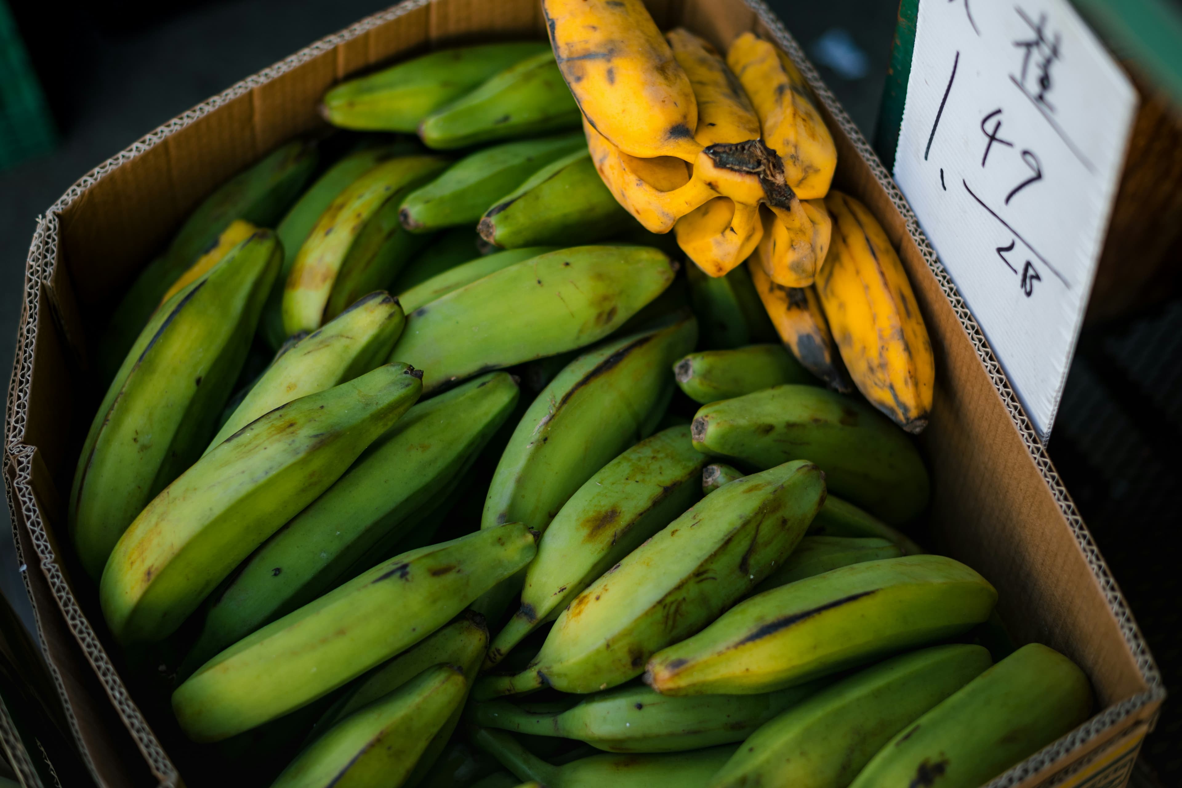 Plantain