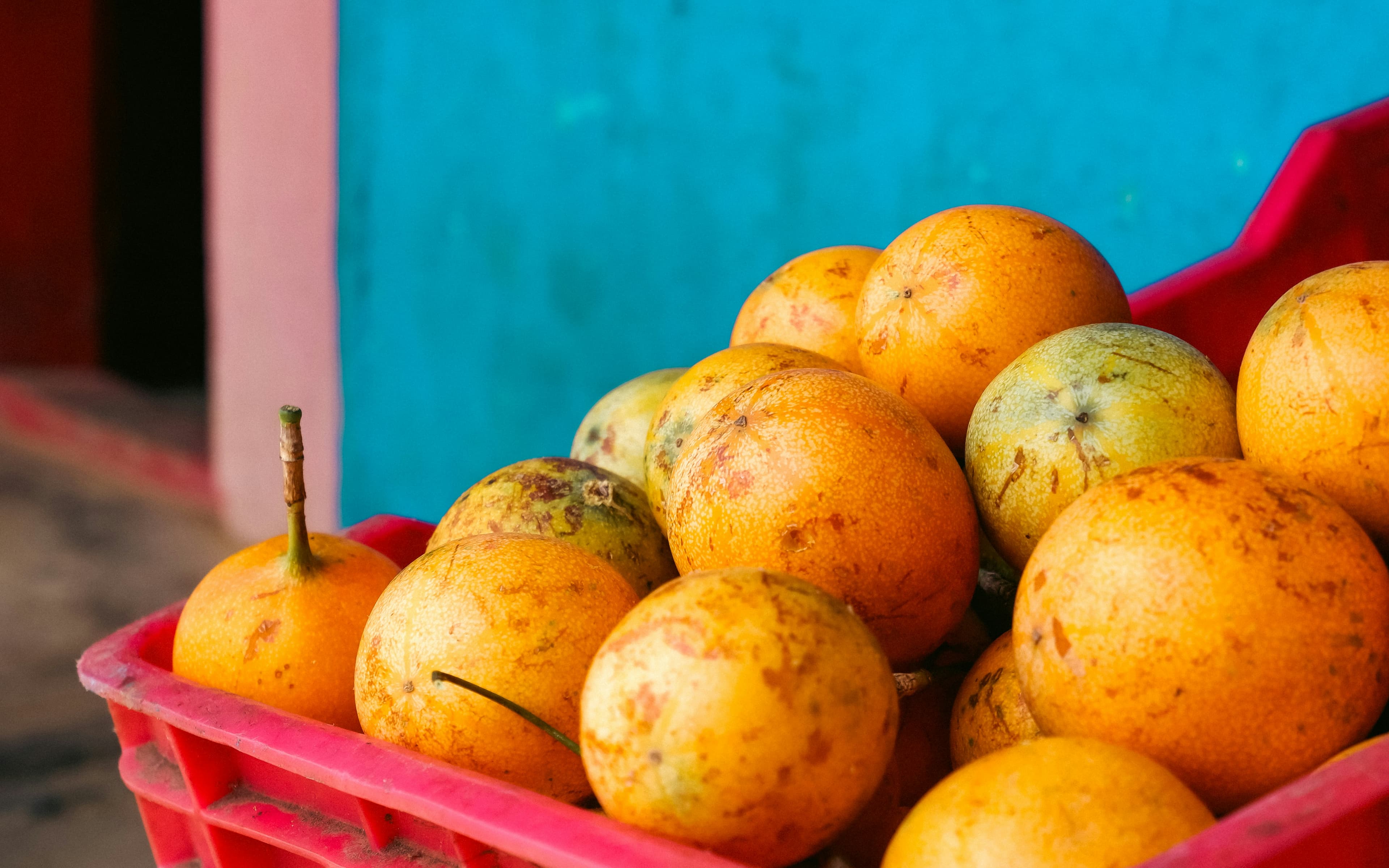 Granadilla
