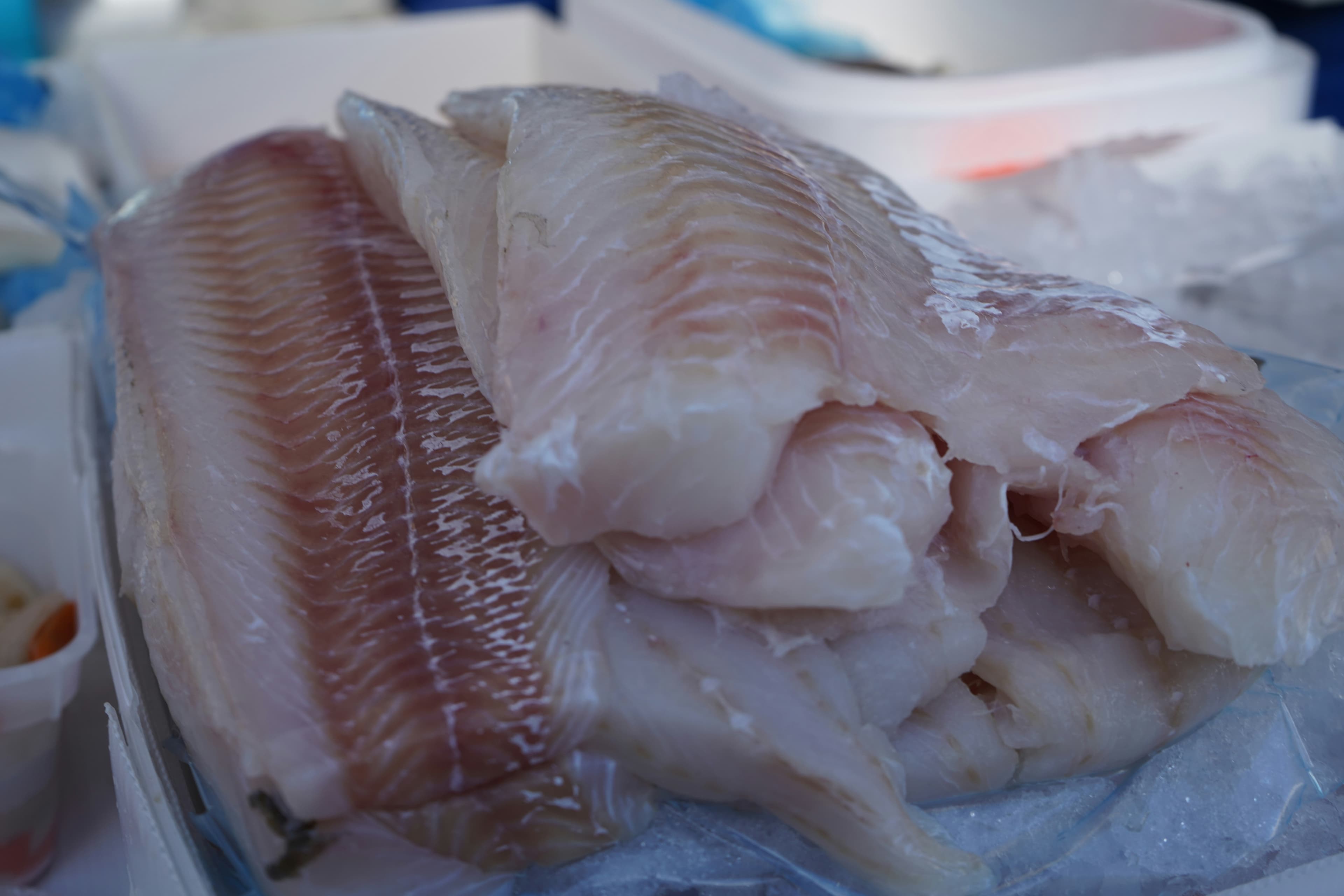 Pirarucu Fillet