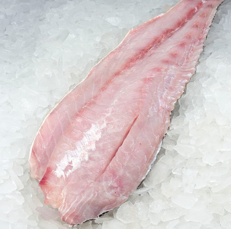 Corvina Fillet