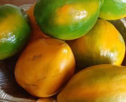 Papaya