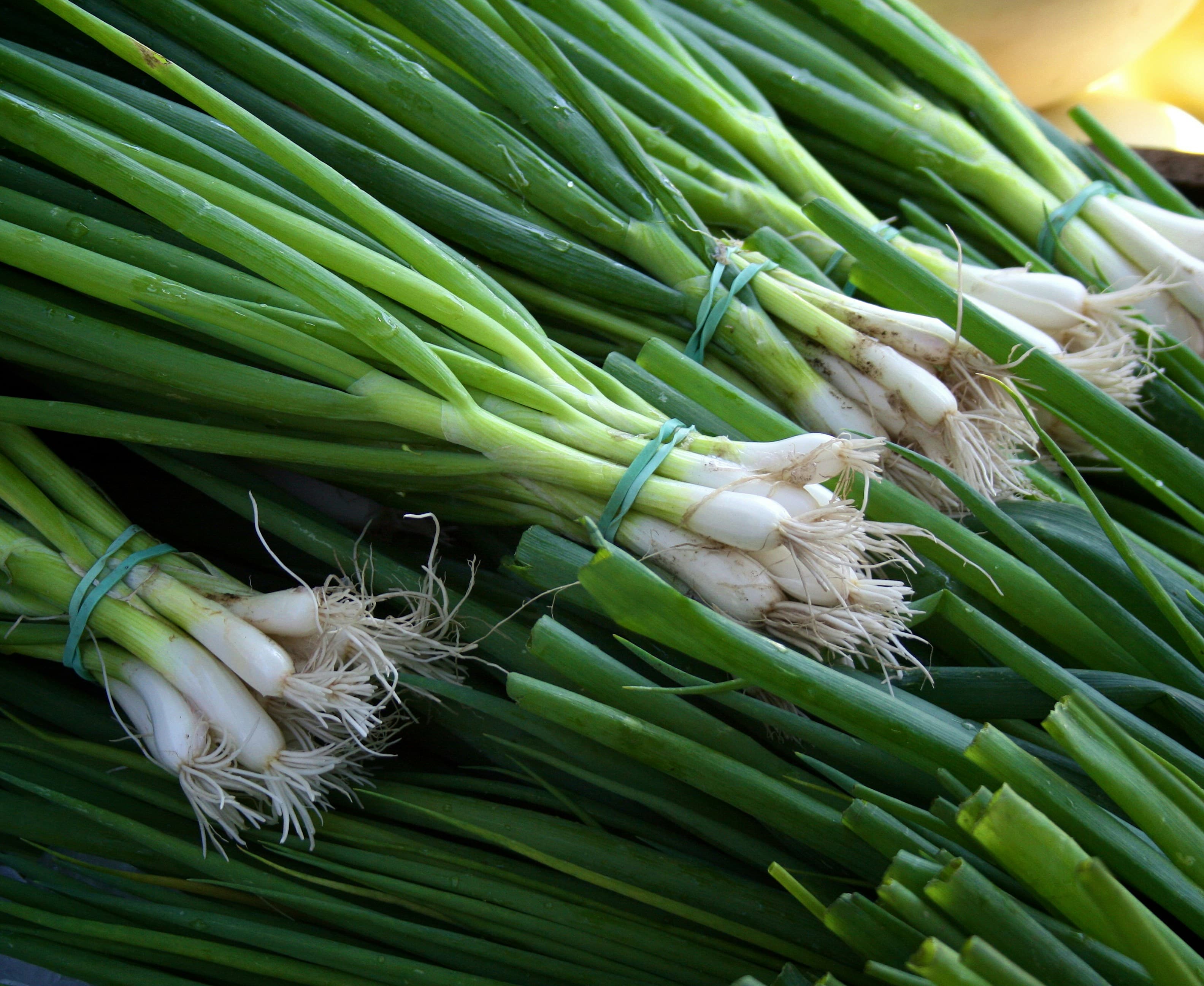 Scallions
