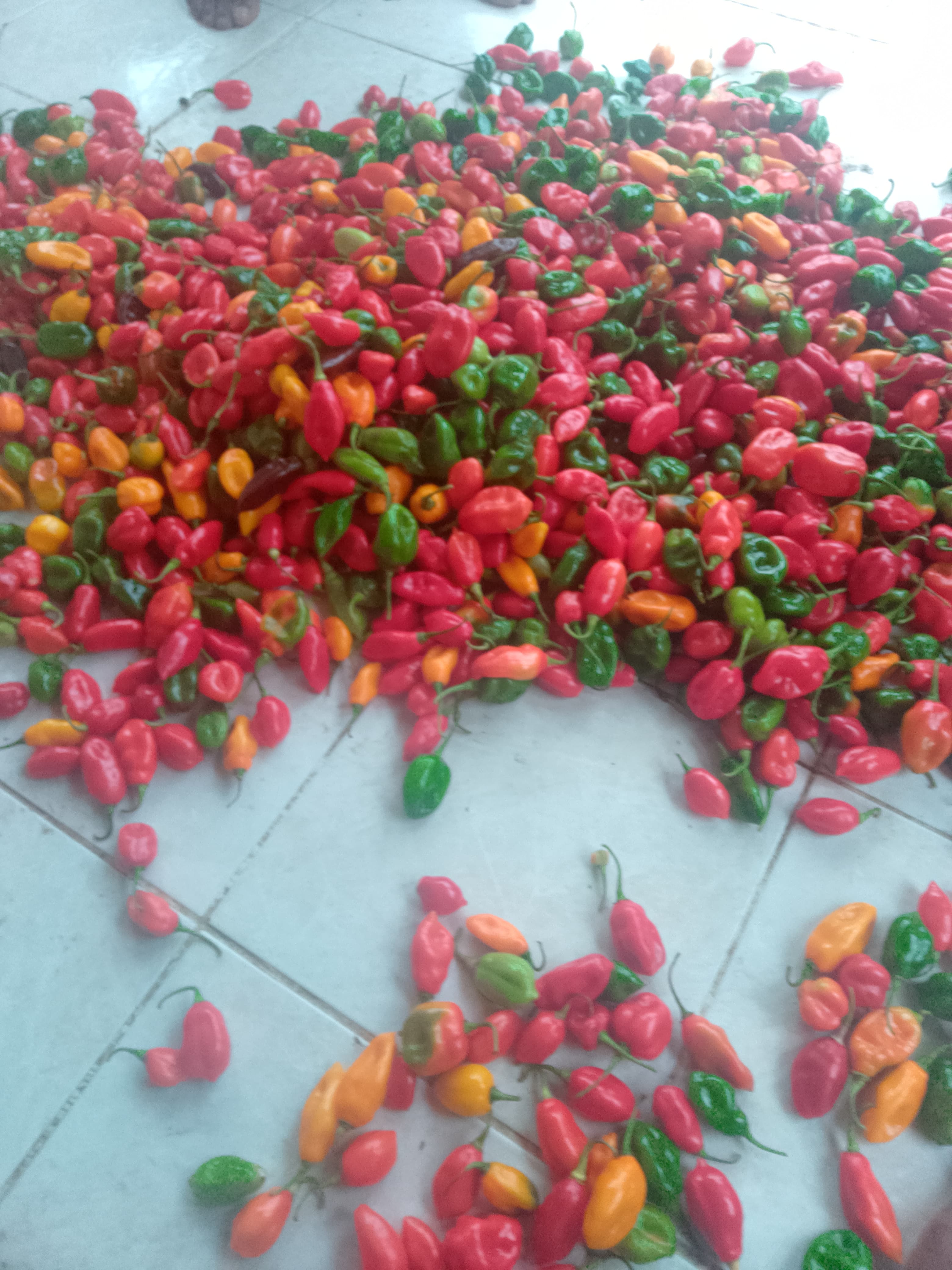 Seasoning peppers