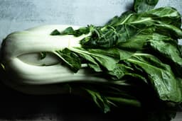 Bok Choi