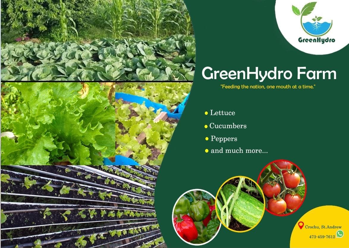 GreenHydro